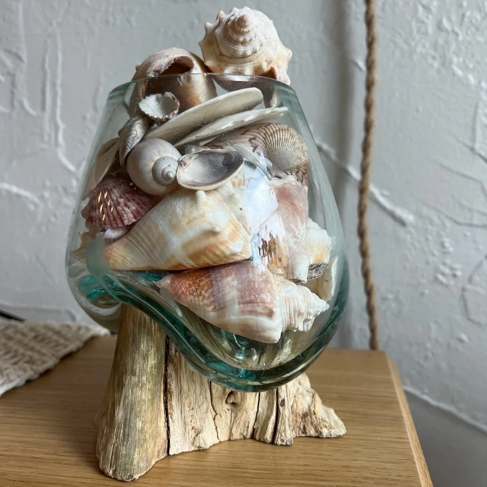 Molten Glass on Driftwood Sculpture – Coastal Vase or Shell Display, Ocean Decor